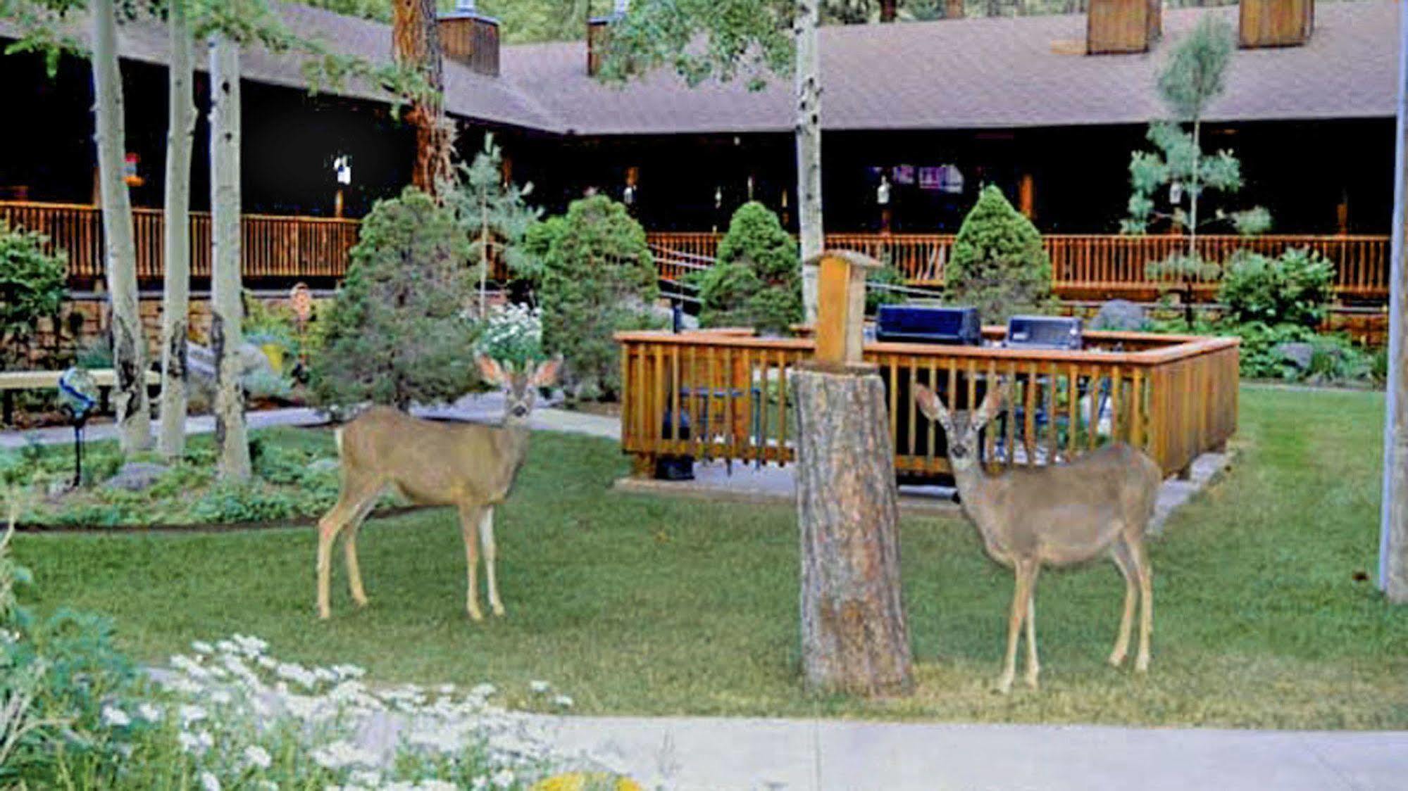 Shadow Mountain Lodge And Cabins Ruidoso Exterior photo